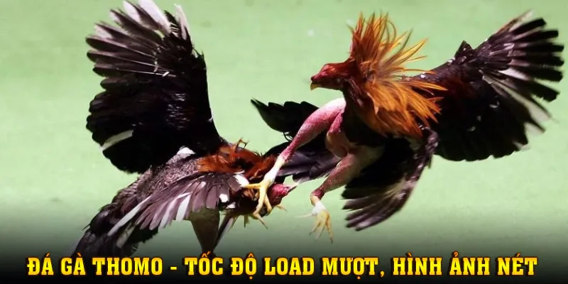 Nâng tầm trải nghiệm với tốc độ load mượt, hình ảnh chất lượng